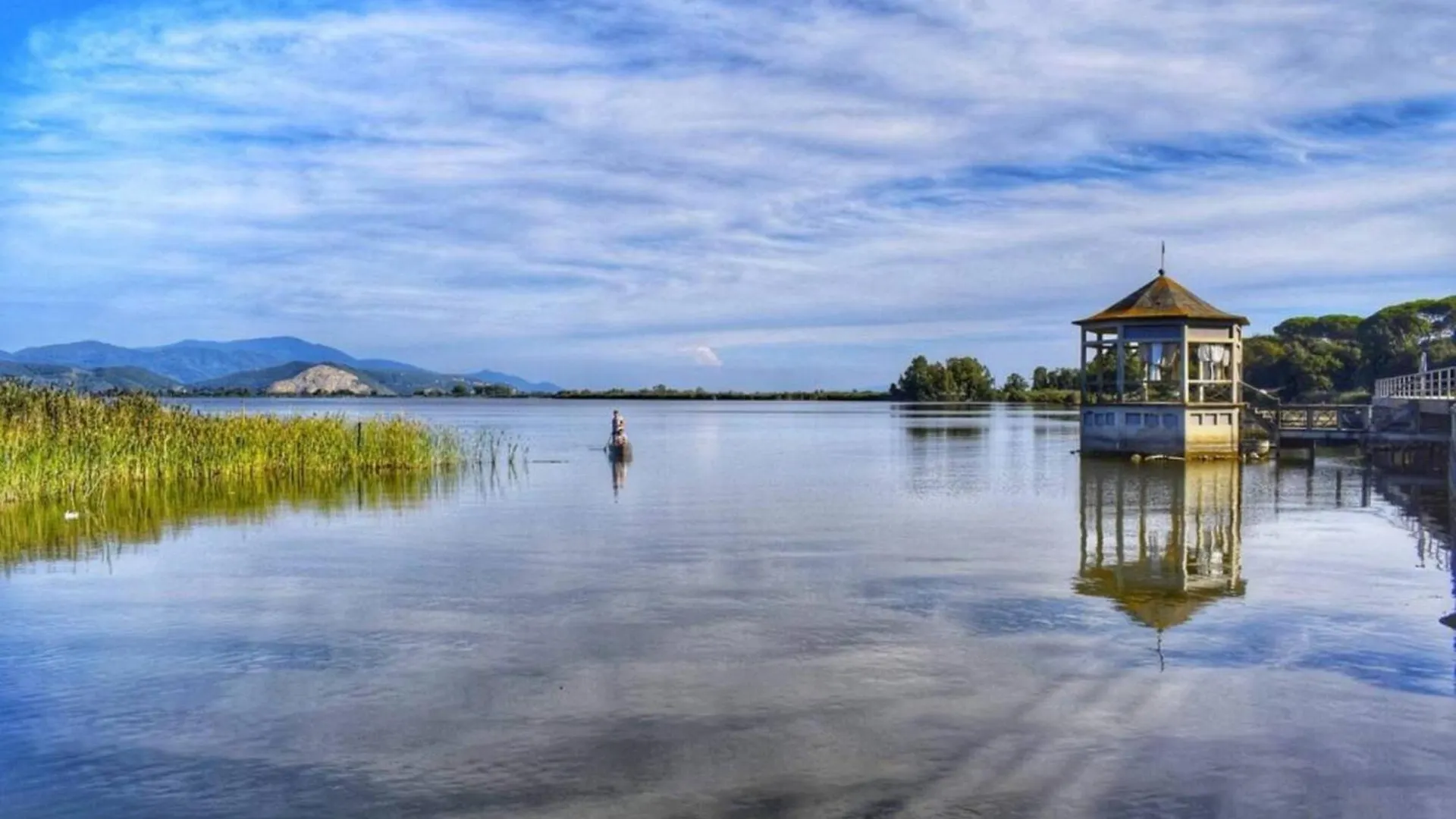 Stella Maris Villa Torre del Lago Puccini Holiday home